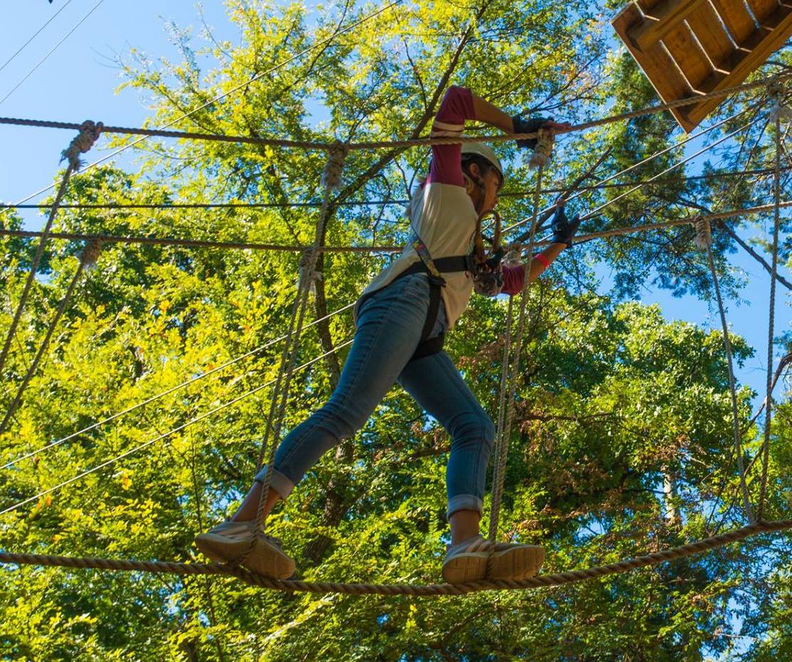 Course 10 - Trinity Forest Adventure Park