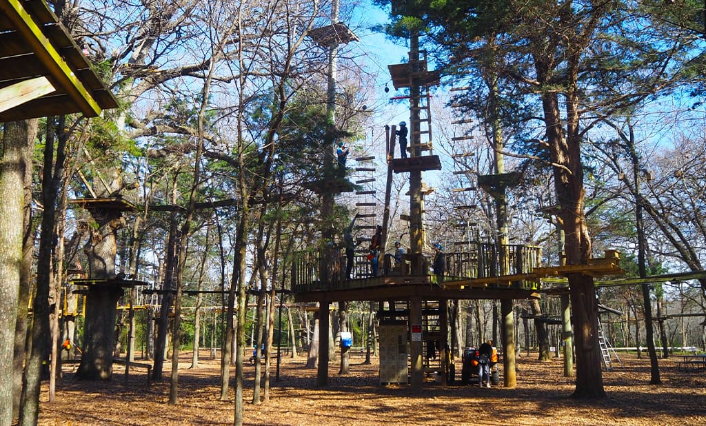A look into Trinity Forest Adventure Park